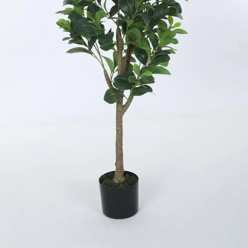 EverGreen Luxe Artificial Indoor Plant Without Pot - 4.5 Feet media 7