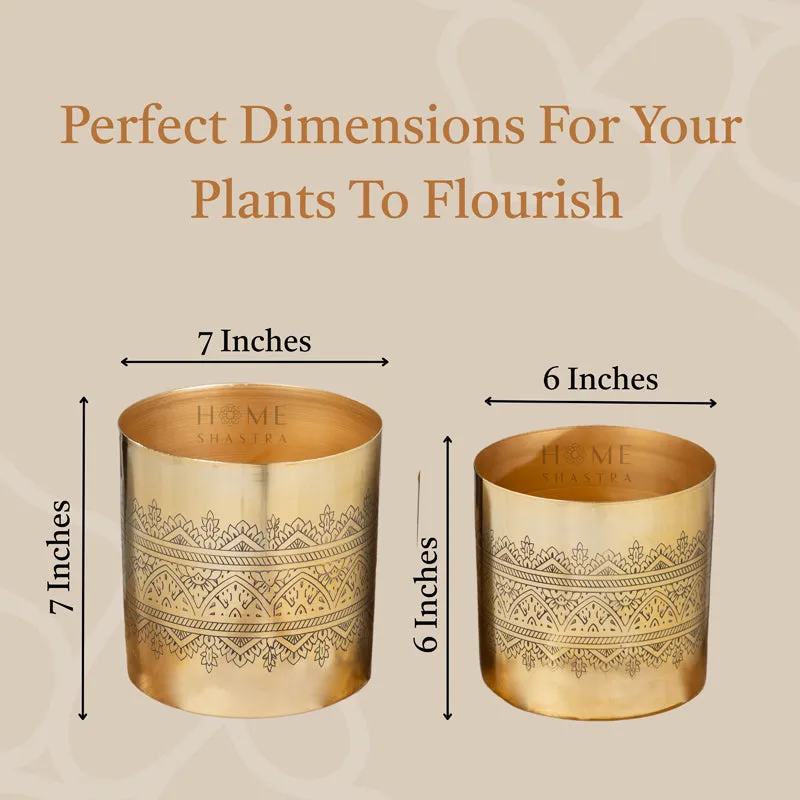 Vinyas Raaga Golden Planter - Set Of Two media 7