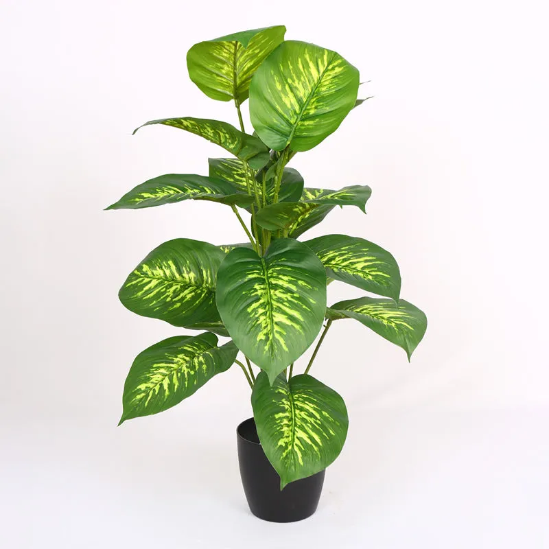 Differa Artificial Dieffenbachia Plant With Black Plastic Pot (2 Feet)  - Yellow, Green media 6