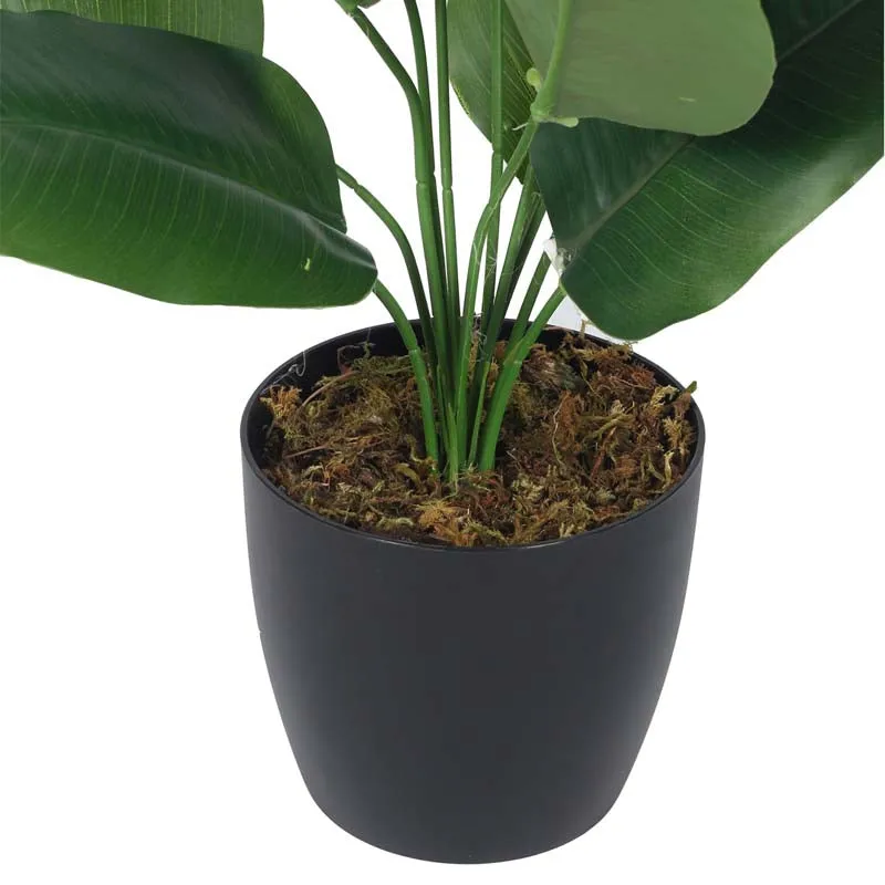 Faux Lush Bird of Paradise Plant With Black Plastic Pot - 1.5 Feet media 5