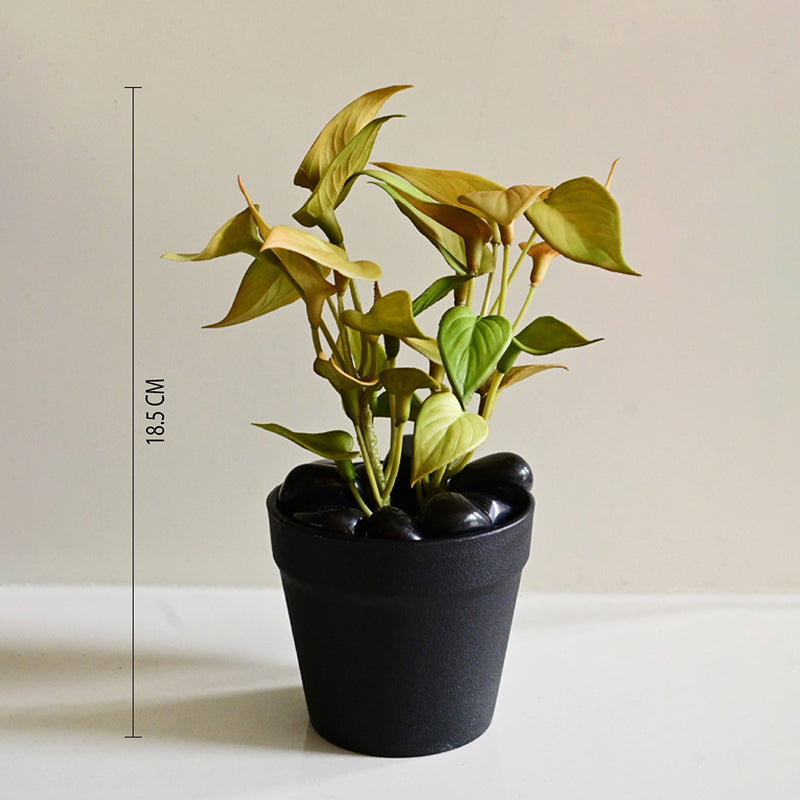 Moniva Artificial Pothos/Money Plant With Black Plastic Pot (Yellow) - 19 cm media 6