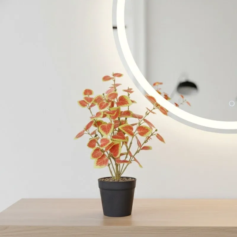 Artificial Coleous Plant With Black Fiber Pot (Orange) - 1 Feet media 5