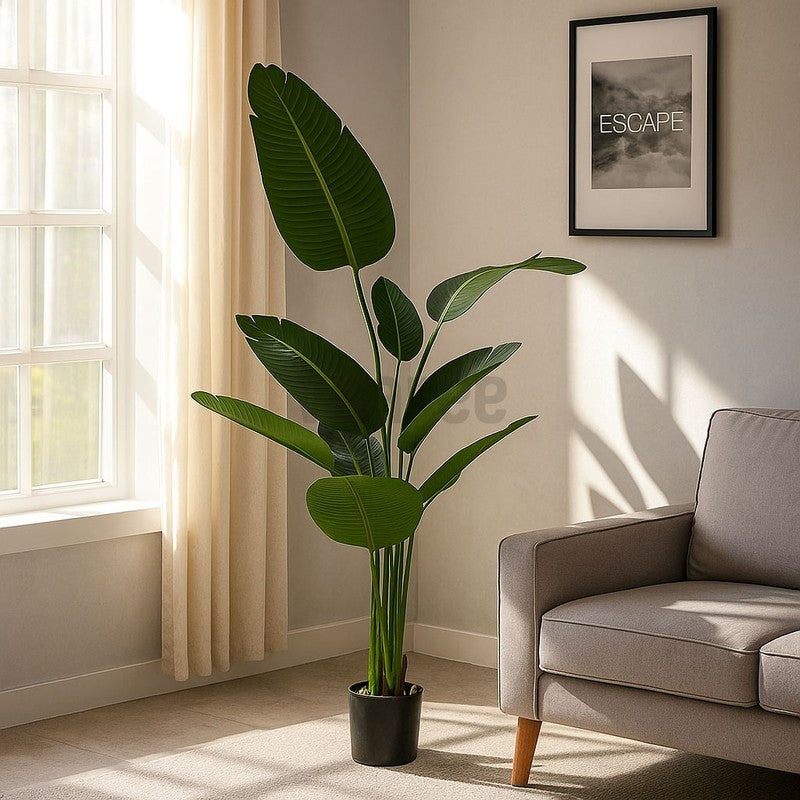 Faux Tropical Bird of Paradise Plant With Black Plastic Pot - 4.9 Feet media 3