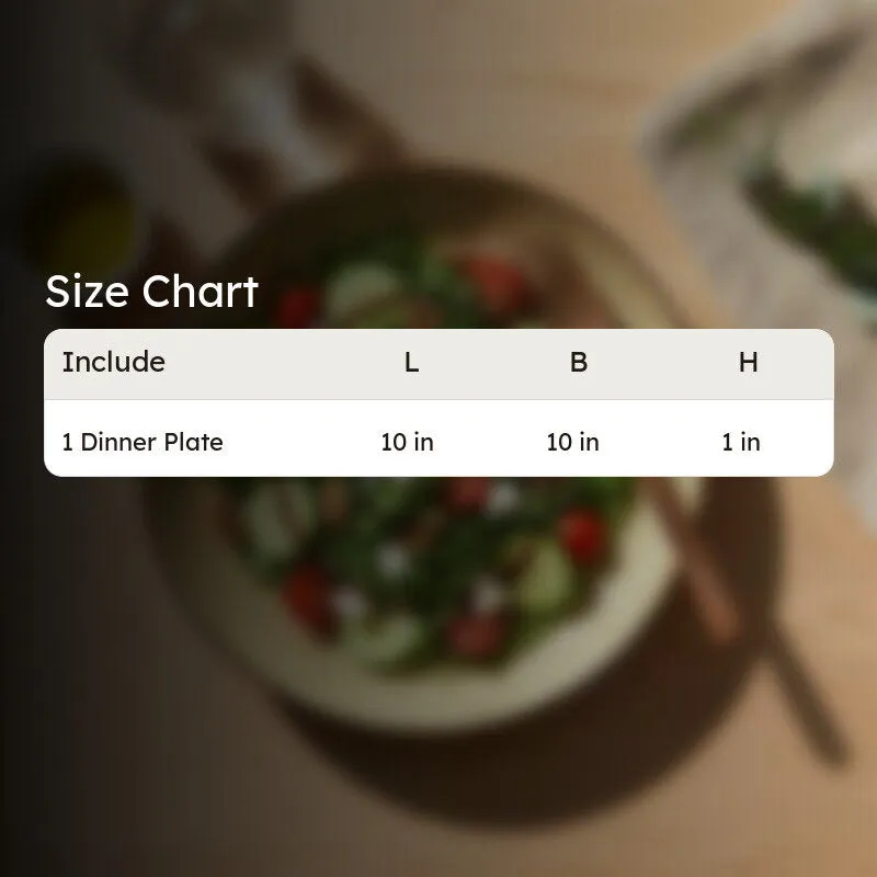 ServeEdge Ceramic Dinner Plate media 10