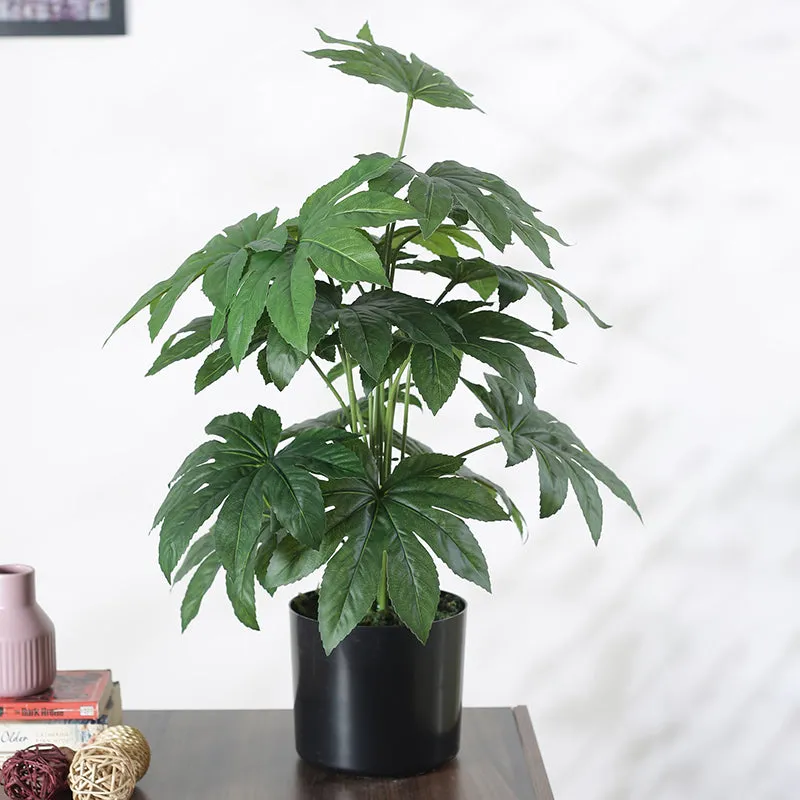 Faux Philodendron Silk Plant With Black Plastic Pot - 2.13 ft media 3