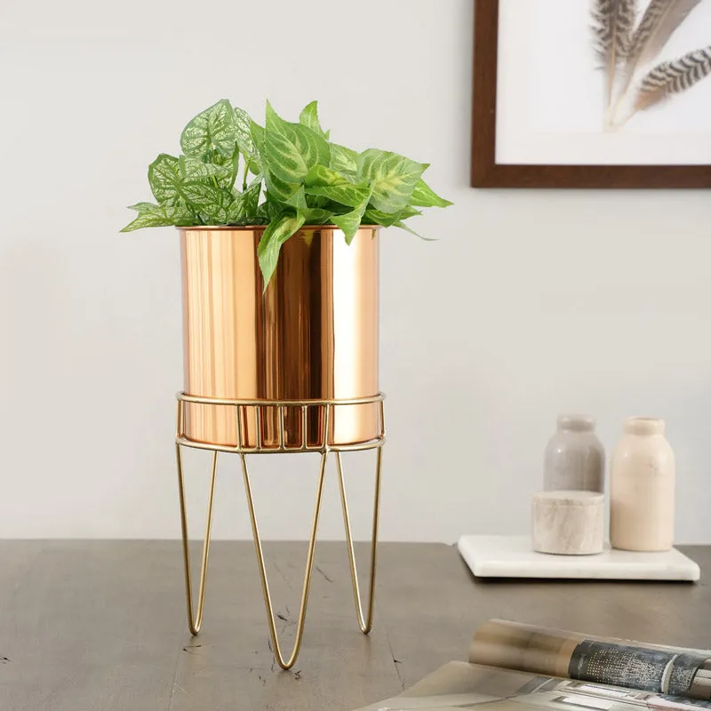 Zenva Stainless Steel Planter - Copper & Gold media 2