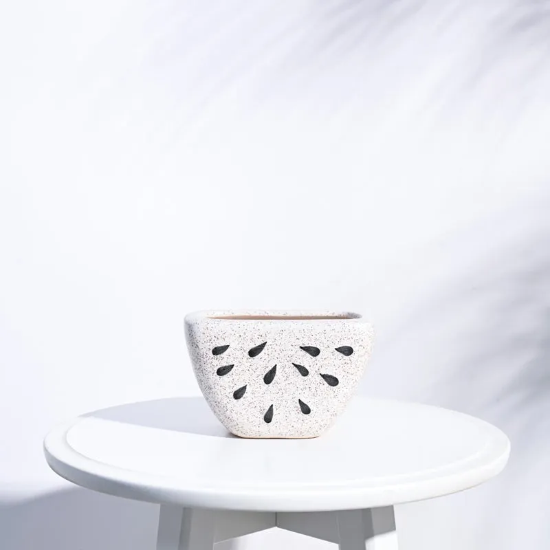 Ugaoo Watermelon Matte Finish White Ceramic Planter media 1
