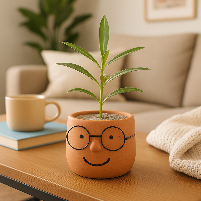 Plantie Pals Ceramic Planter - Orange media 4