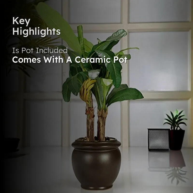 Faux Banana Bonsai In Ceramic Pot (47 cms) - Big media 2