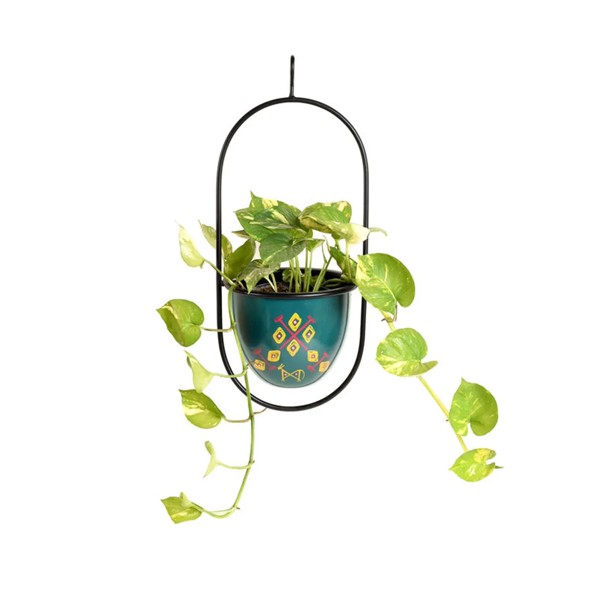 Blue hanging planter in black frame with trailing green plant