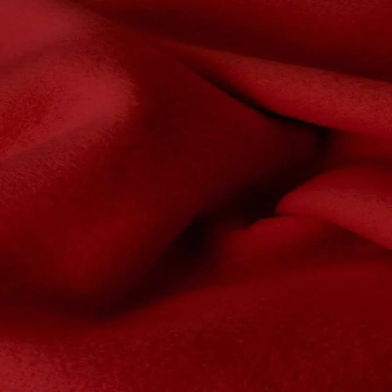 Soft Elite Blanket(Red) - 220 GSM media 4