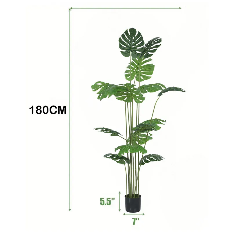 Striga Artificial Monstera  With Black Plastic Pot - 6 Feet media 6