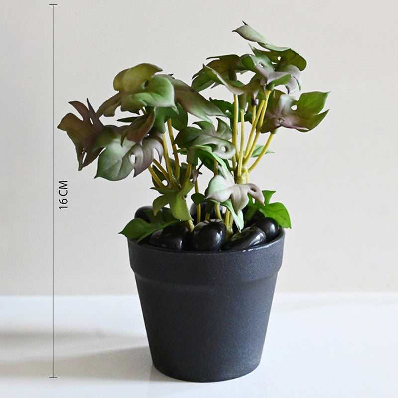 Minstera Artificial Mini Monstera Plant With Black Plastic Pot - Purple & Green media 6
