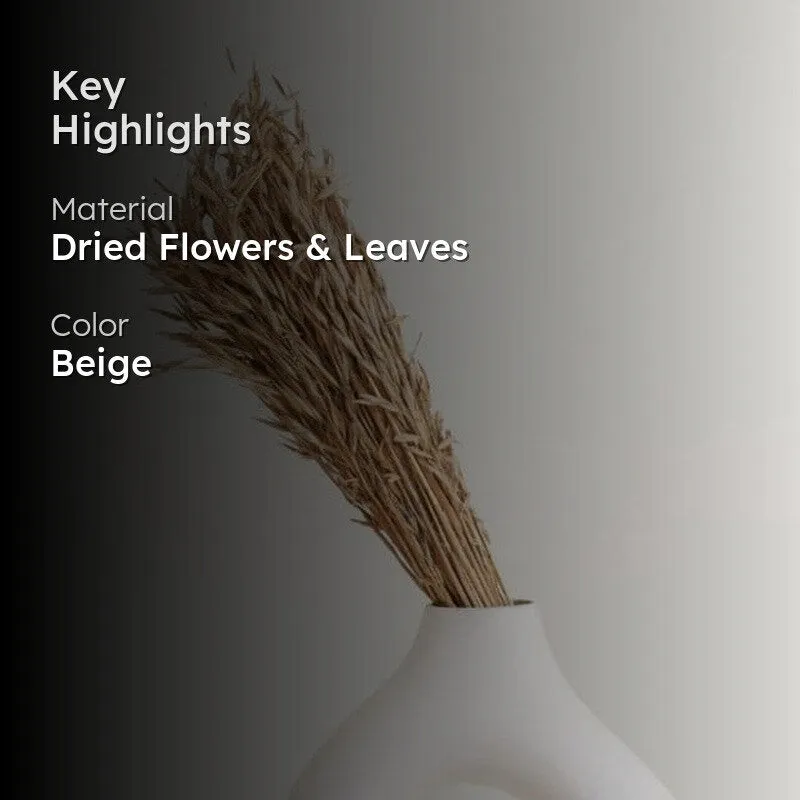 Hazo Millet Grass Dried Havana Grass Bunch - Brown media 2