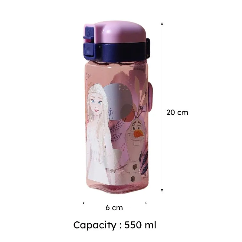 Rosa Frozen Water Bottle - 550 mL media 7