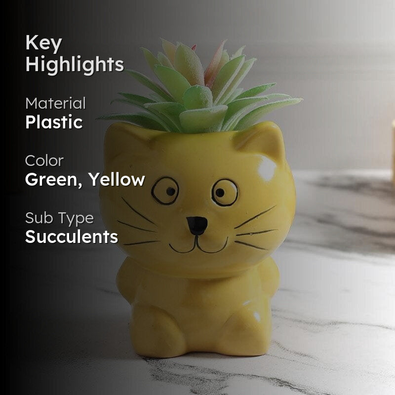 Faux Aeonium In Cat Face Pot - 12 cms media 2