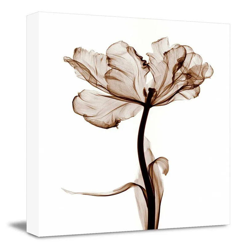 Argyle Floral Wall Art media 3