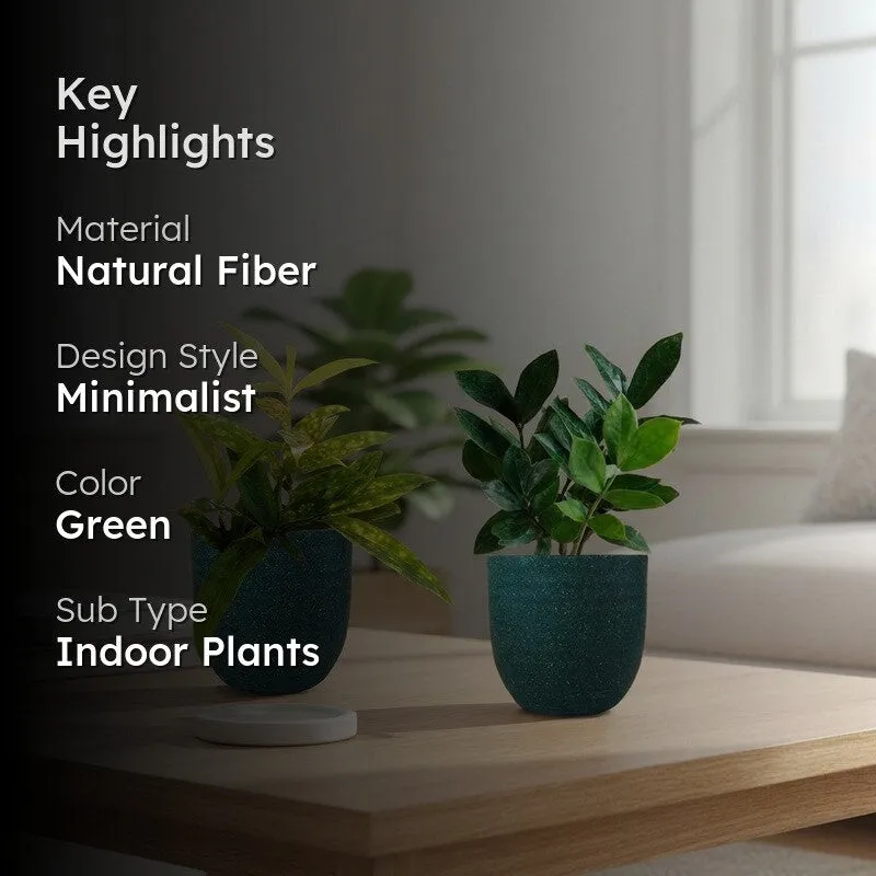 Greenkin ZZ & Bamboo Live Plants (Green) - Set Of Two media 2