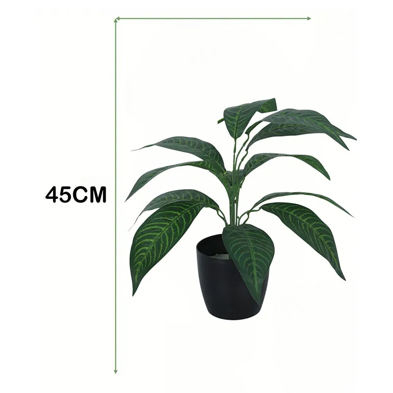 Eternelle Artificial Croton Plant With Black Plastic Pot - 1.6 Feet media 5