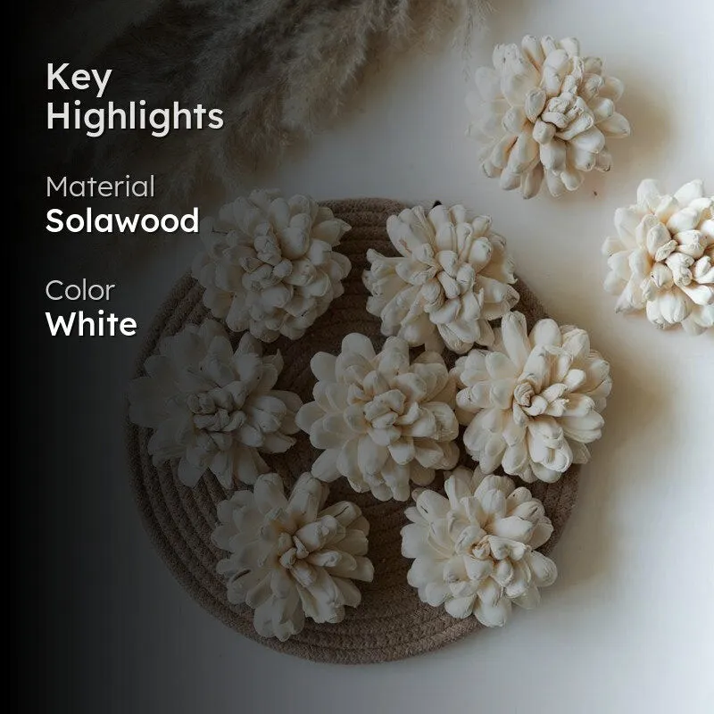 Creamy-white sola wood flowers shown in a decorative arrangement