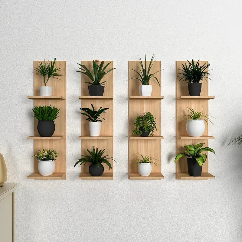 Shelvora (MDF,Wood) Shelves - Set Of Four media 1