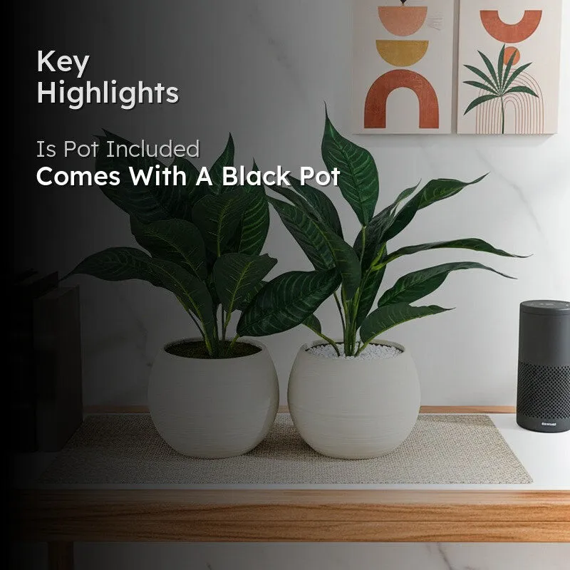 Faux Green Croton Plant With Black Plastic Pot (50 cms) - Set Of Two - 2