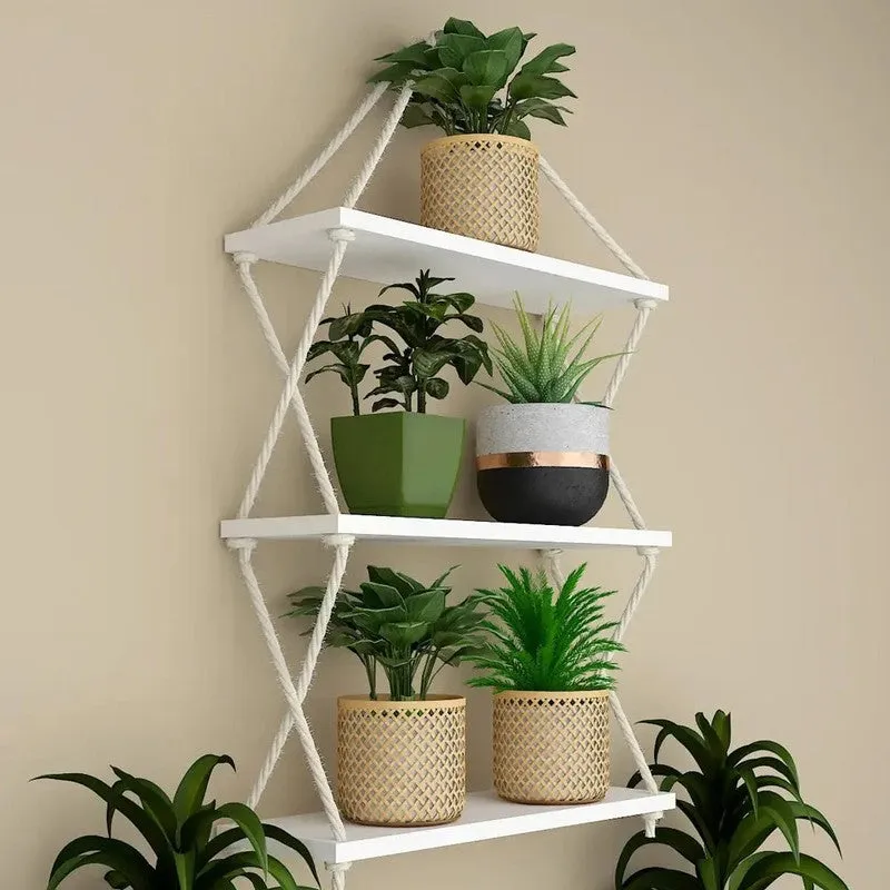 Chroma Ledge (MDF,Wood) Shelves media 4