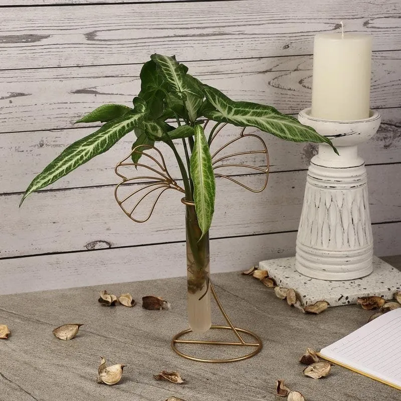 Parslii Testube Planter media 1