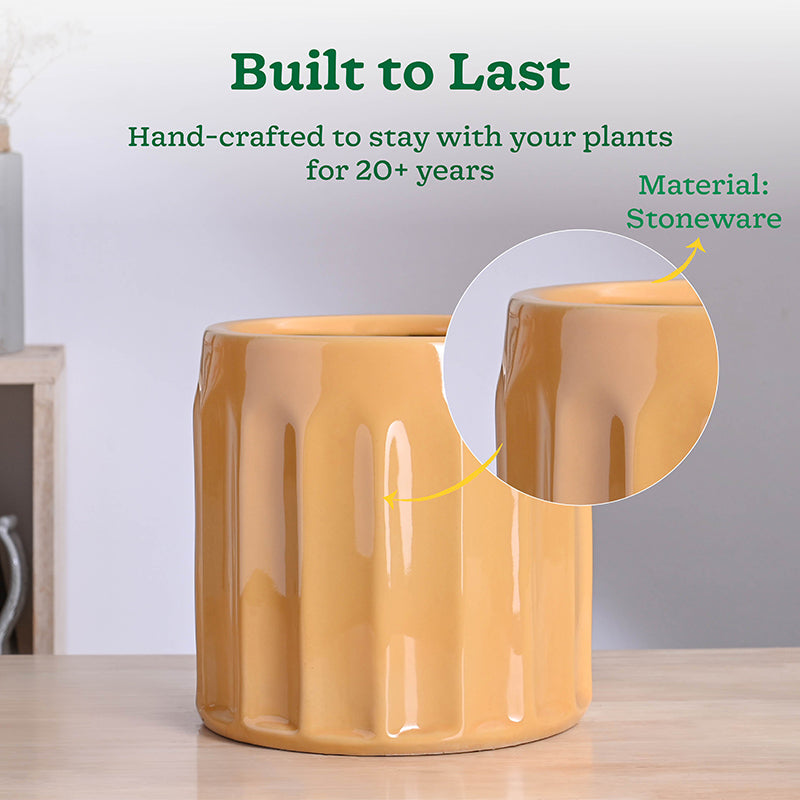 Ugaoo Straits Ceramic Planter - Yellow media 4