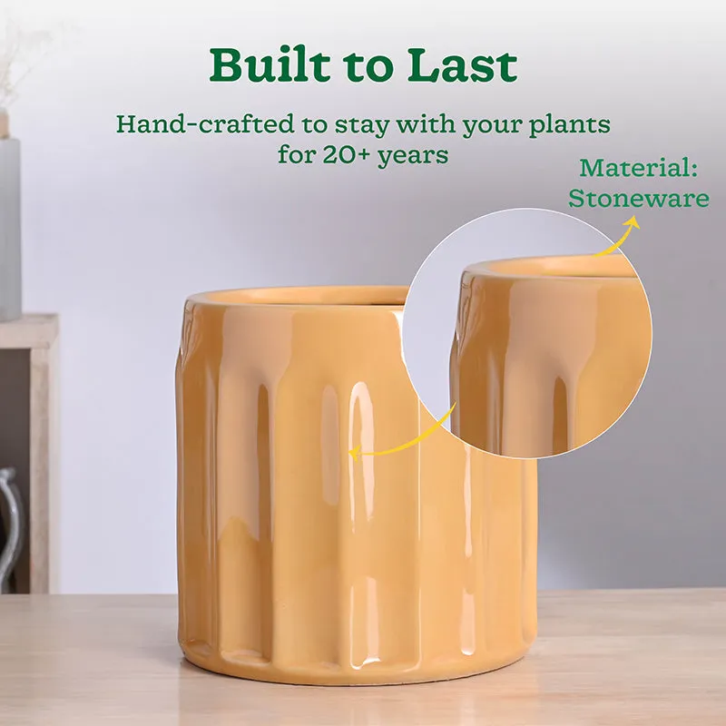 Ugaoo Straits Ceramic Planter - Yellow media 4