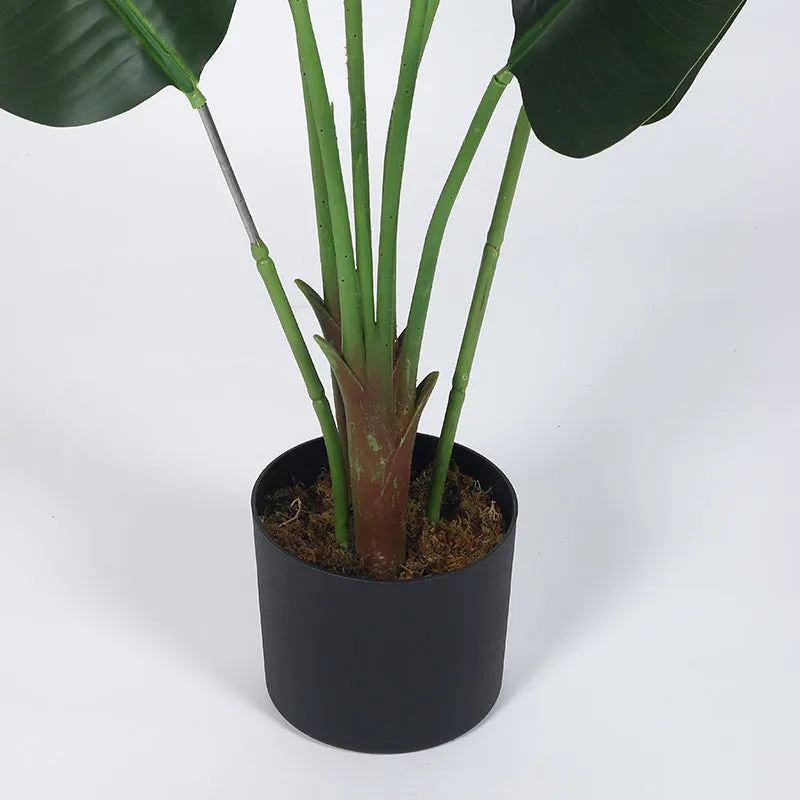 Endora Artificial Banana Plant With Black Plastic Pot - 4 Feet media 5