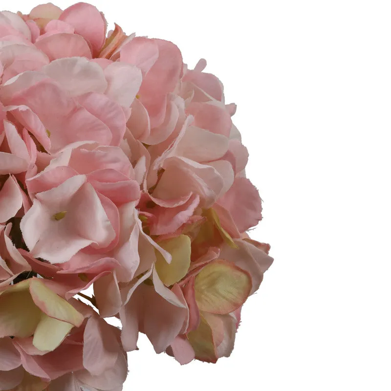 Close-up view of soft pink hydrangea petals