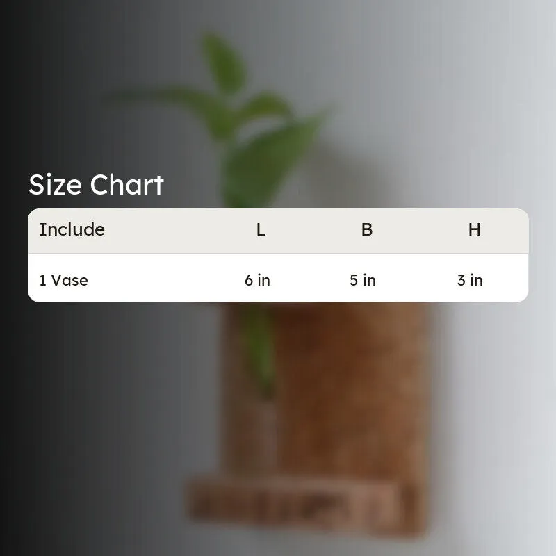 Ida Cork Testube Planter media 5