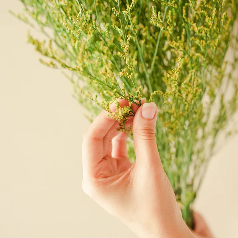 Artificial Limonium - Five Piece Set media 3
