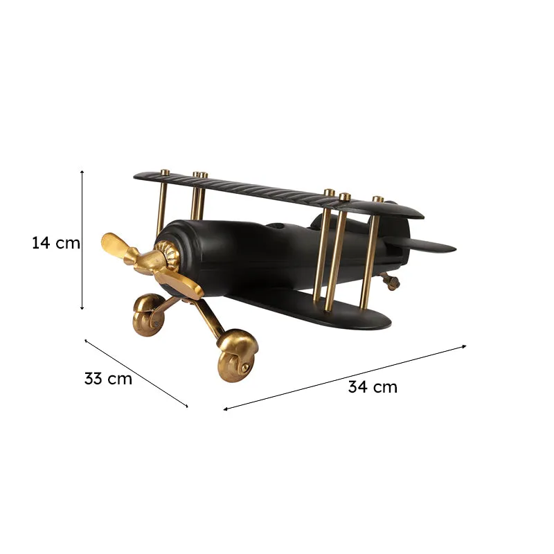 Raven Airplane Showpiece media 9
