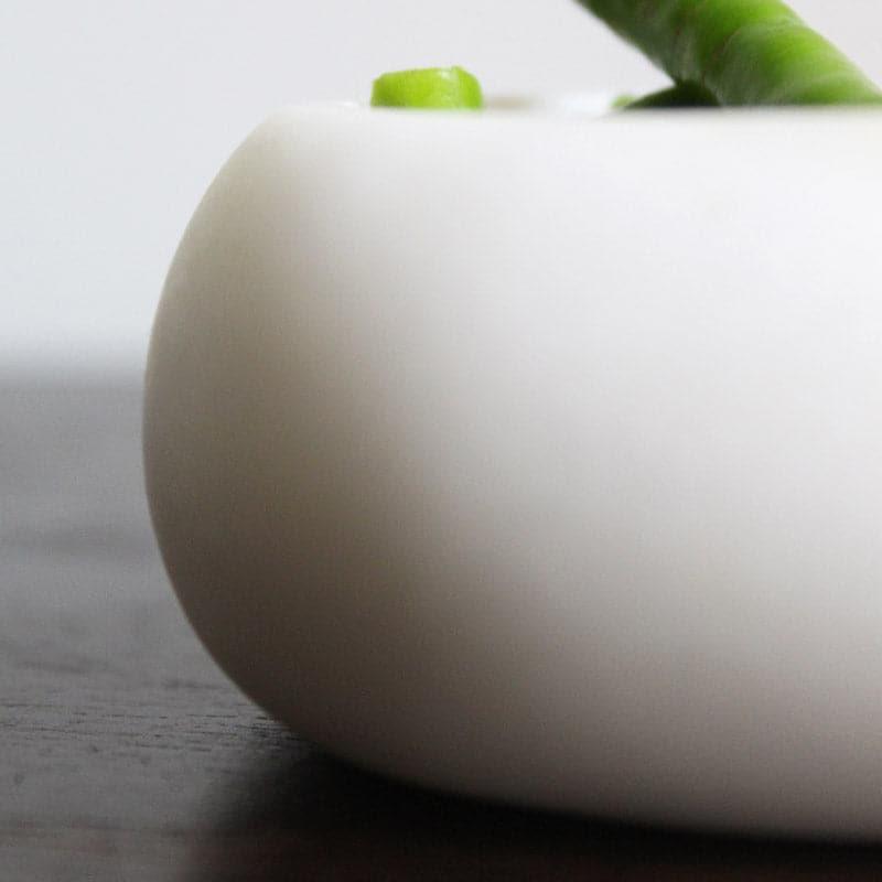 Twin Tale Pinch Bowl media 5