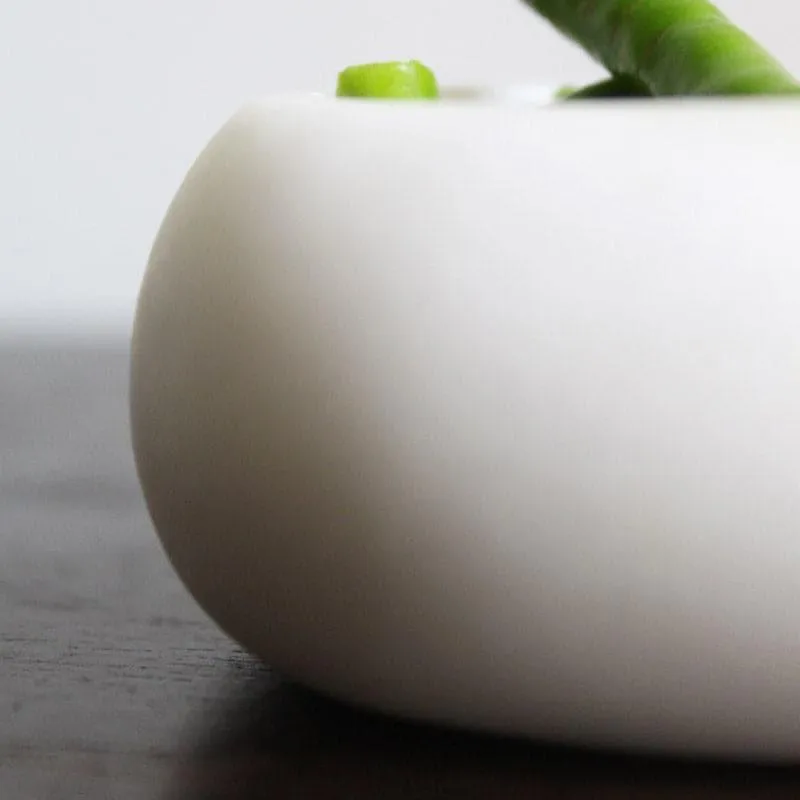 Twin Tale Pinch Bowl media 5