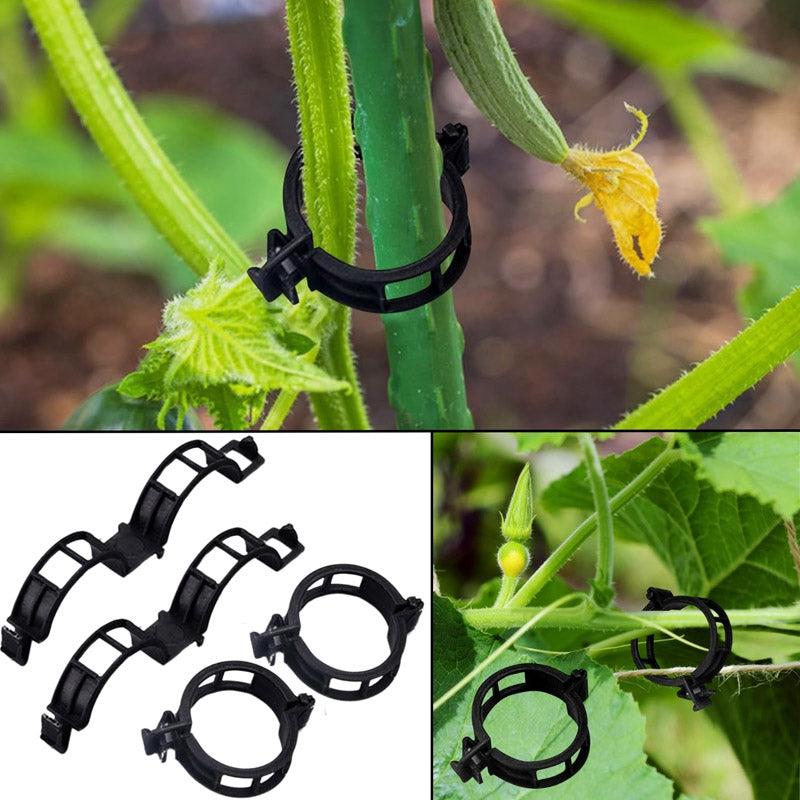 Plant Pro Garden Clip (Black) - Set Of Two Hundred