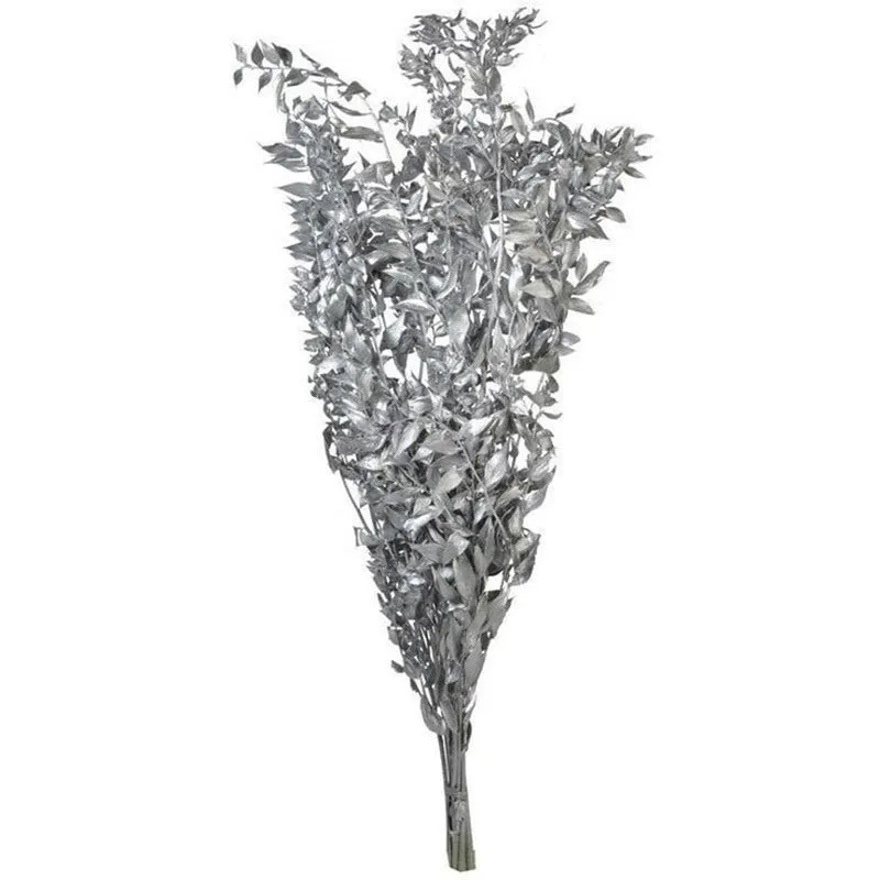 Dried Ruscus Bunch (Silver) - Set Of Three media 5
