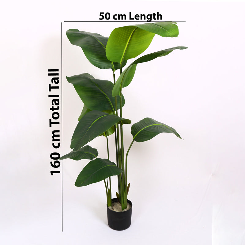 Verdiq Artificial Banana Plant With Black Plastic Pot - 5.2 Feet media 6