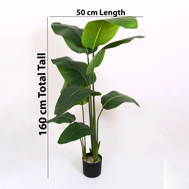 Artificial banana plant shown with height and width measurement markings