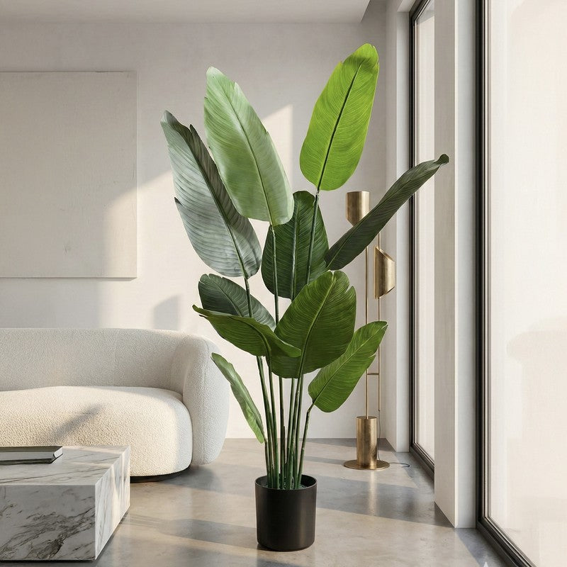Tropiva Banana Leaf Palm Plant With Black Plastic Pot - 5.2 ft media 3