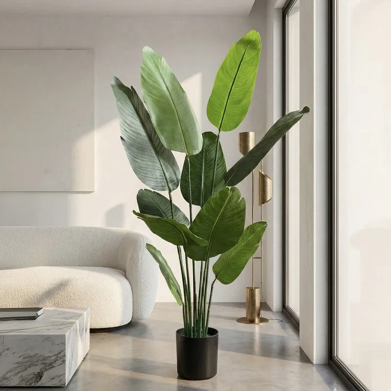 Tropiva Banana Leaf Palm Plant With Black Plastic Pot - 5.2 ft media 3