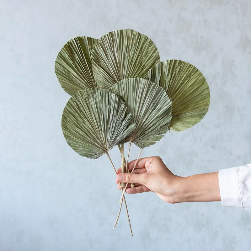 Sheiraa handmade Palm Leaf Stick - Set Of Five media 1