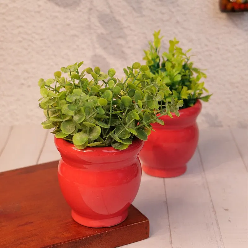 VelourVista Pots Red - Set Of Two media 3