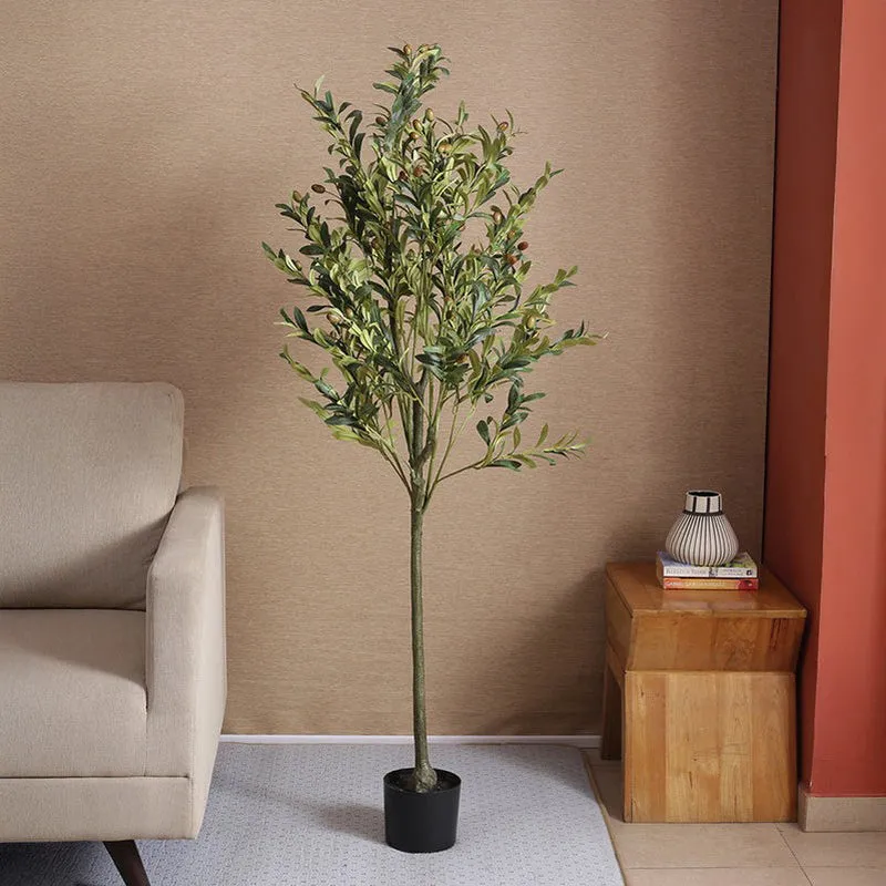 Faux Olive Tree Plant With Black Plastic Pot - 4.92 ft media 3