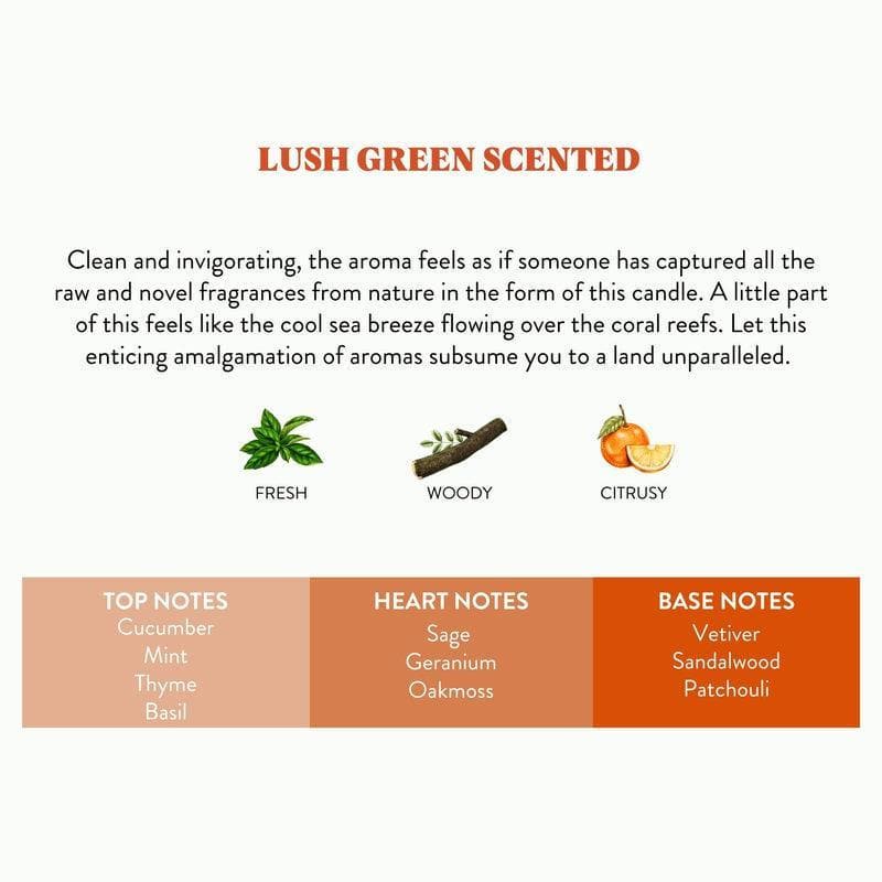 Stoners- Lush Green Scented media 8