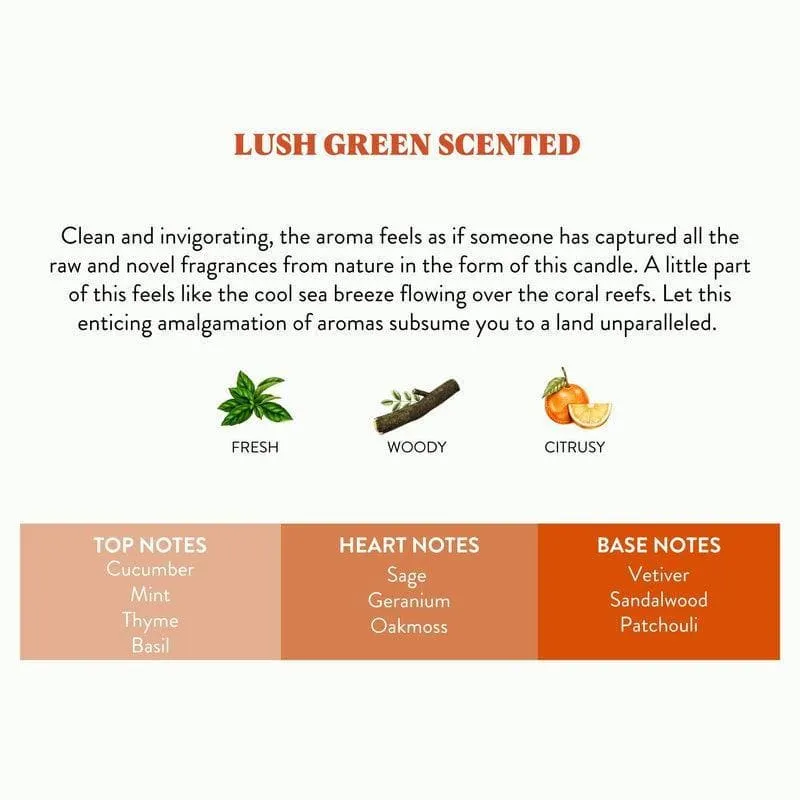 Stoners- Lush Green Scented media 8