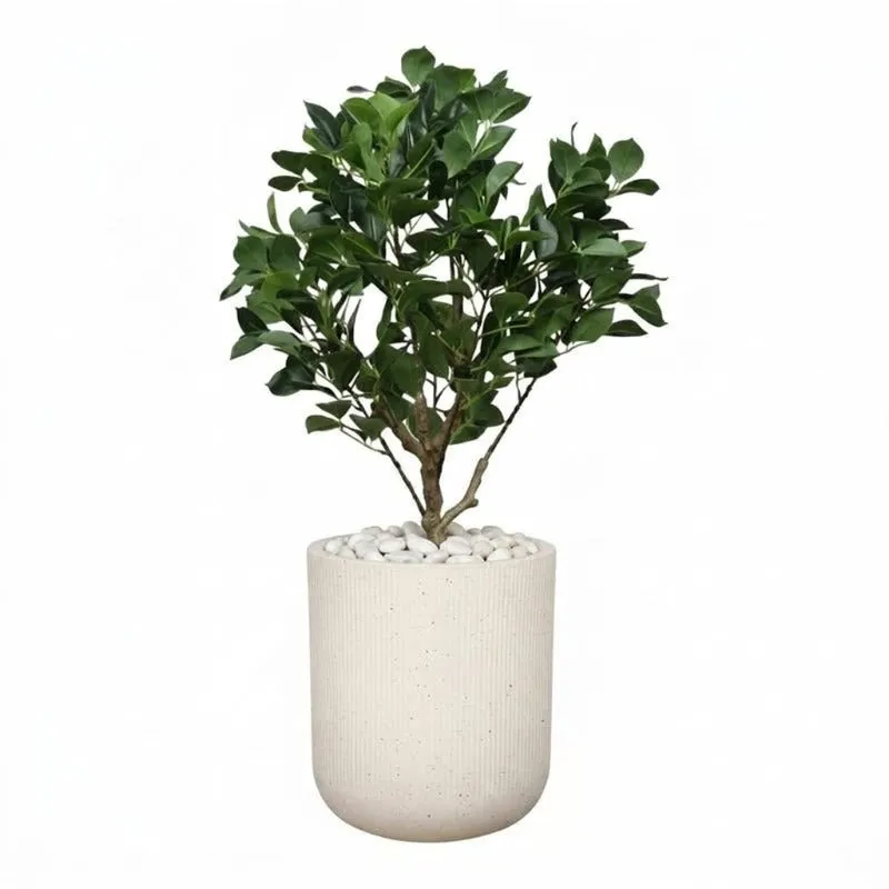 Velora Floor Planter - Off White media 8