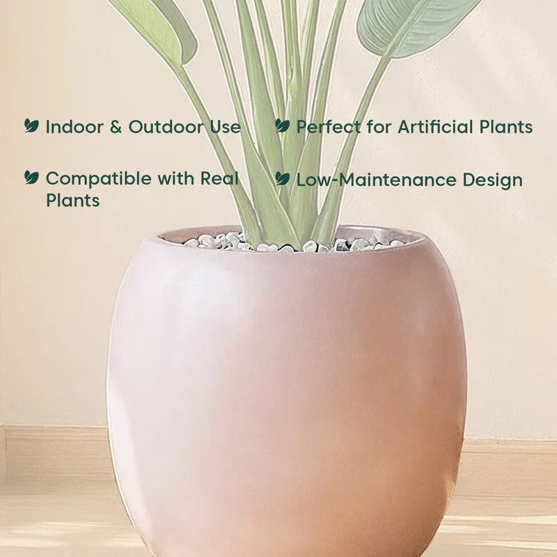 Kyari City Globe Fiberglass Planter media 5